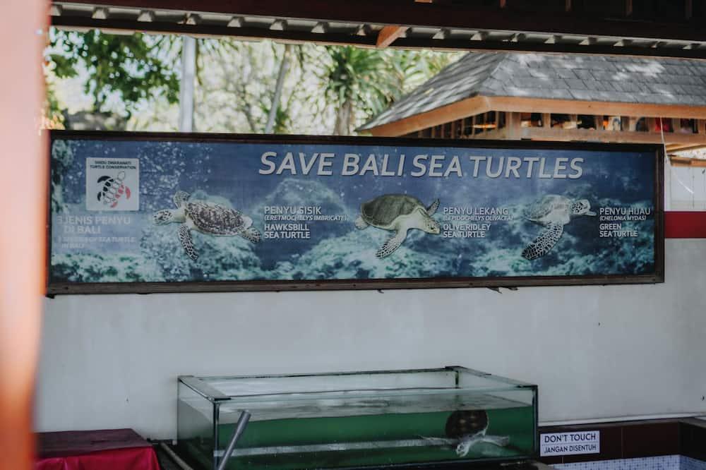 expedia_group-430394-145665851-611829 Sudamala Resort, Sanur, Bali