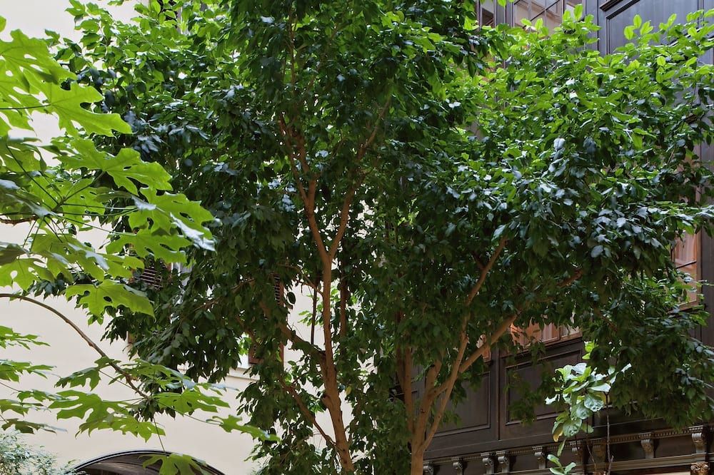 Hotel König von Ungarn