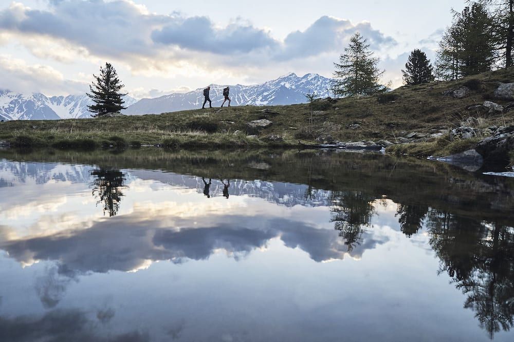 Goldene Rose Karthaus
