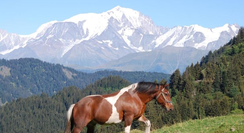 Chalet Mon Idole Rhône-Alpes - Flumet visuel 3/5