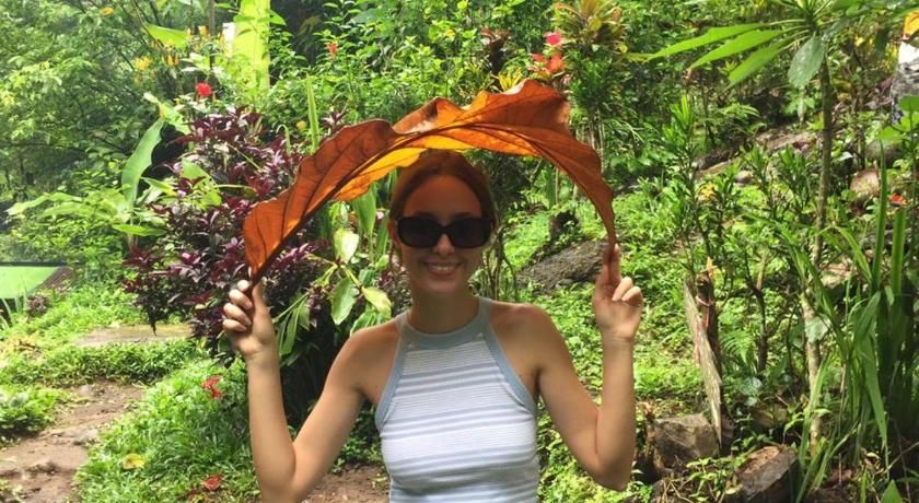 Sekumpul Bali Hidden Space