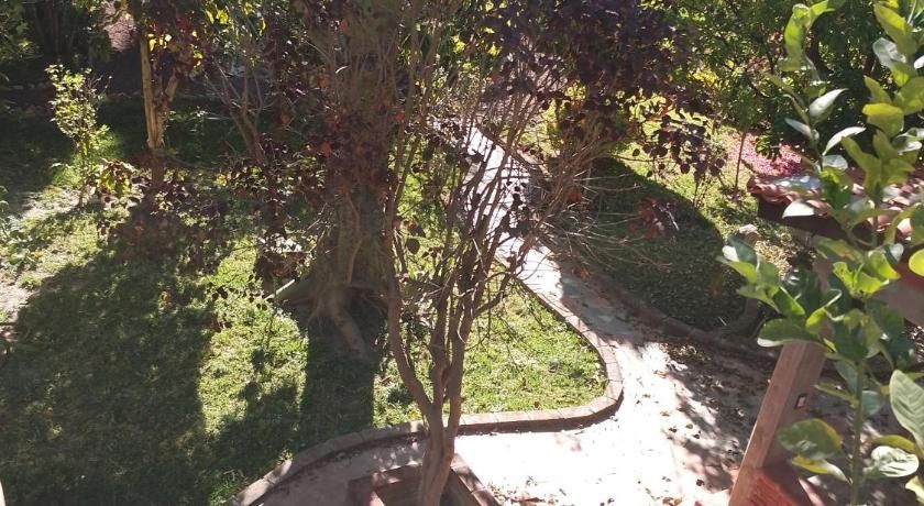 El mana de San Francisco