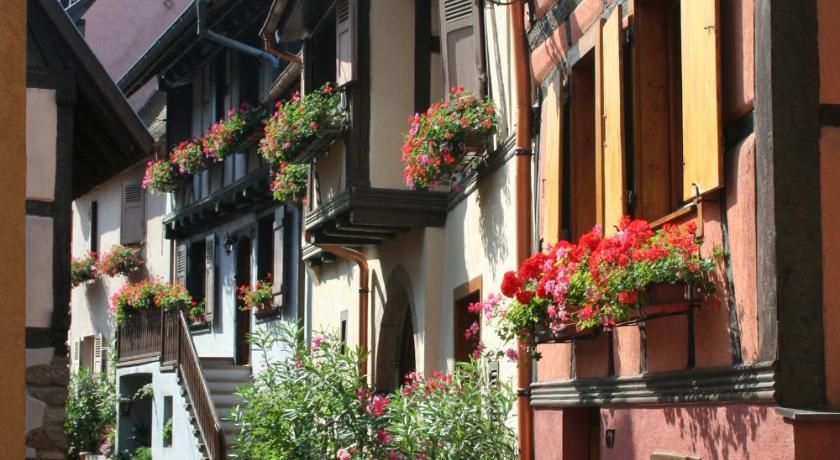 Résidence Vénus Alsace - Eguisheim visuel 2/5