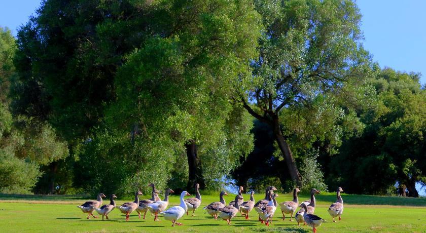 Hotel Hacienda Montenmedio Andalousië - Vejer de la Frontera visuel 3/5