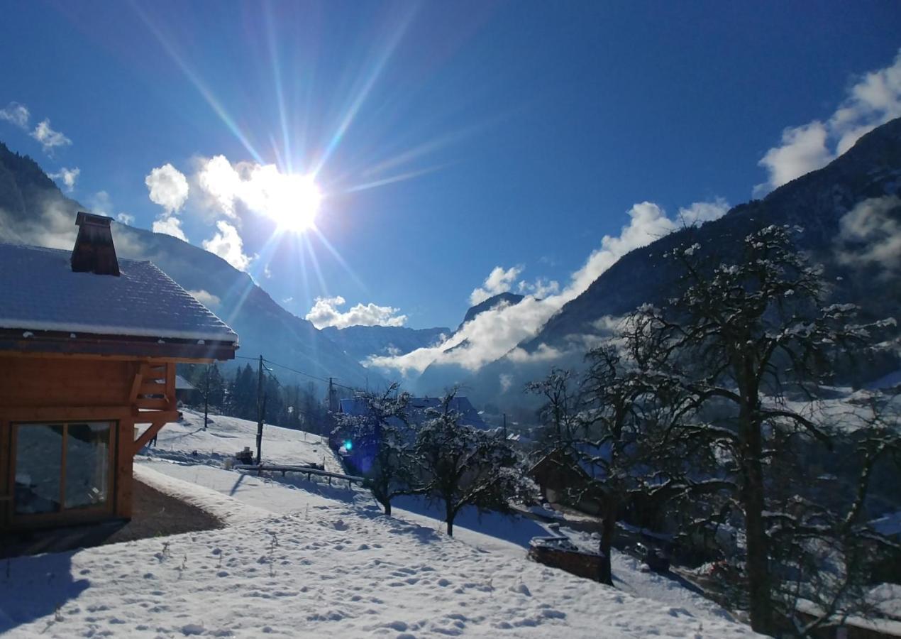 Demi-Chalet Savoyard Rhône-Alpes - Petit-Bornand-les-Glières visuel 3/10