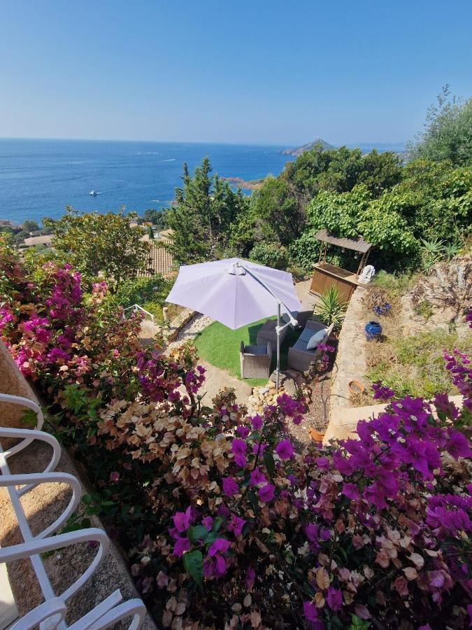 Villa Rubis-vue mer à couper le souflle Provence-Alpes-Côte d'Azur - Saint-Raphaël visuel 3/10 Villa Rubis-vue mer à couper le souflle Provence-Alpes-Côte d'Azur - Saint-Raphaël visuel 3/10