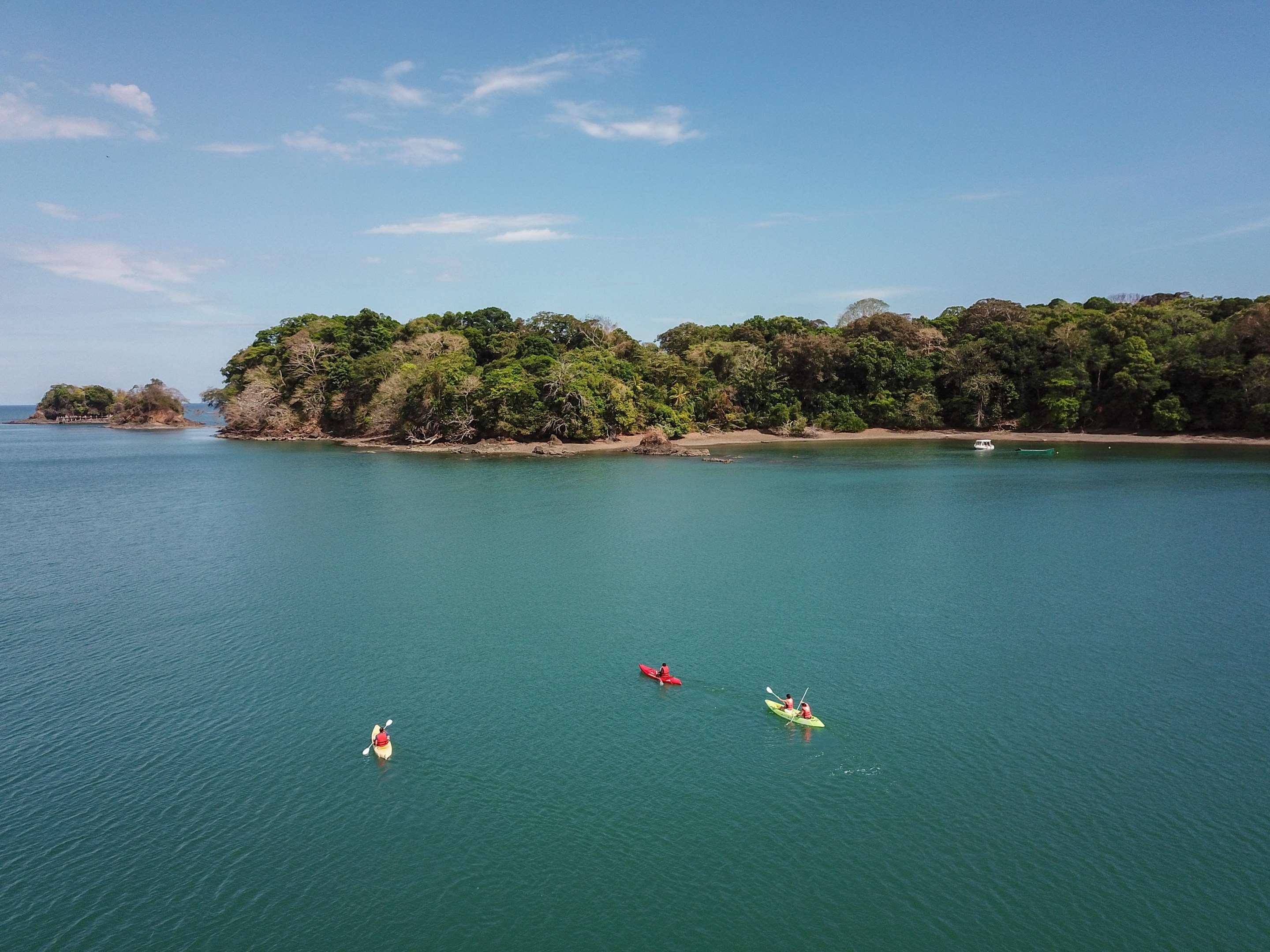 ice-2051244-e4e9b2-919227 Isla Palenque
