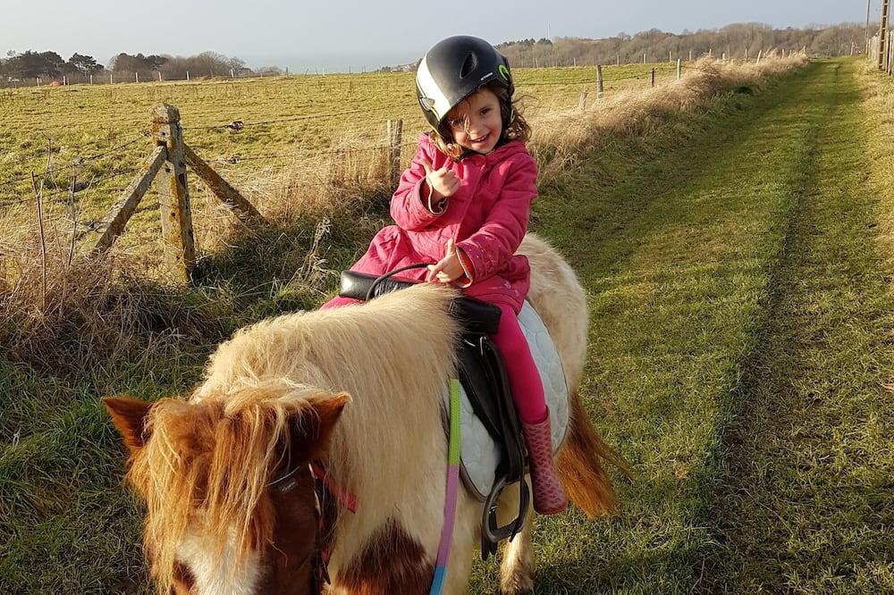 Logt 5 People Sea View. Pony And Trampoline. Located Along A Gr. Nature Hoog-Normandië - Dieppe visuel 5/5 Logt 5 People Sea View. Pony And Trampoline. Located Along A Gr. Nature Hoog-Normandië - Dieppe visuel 5/5
