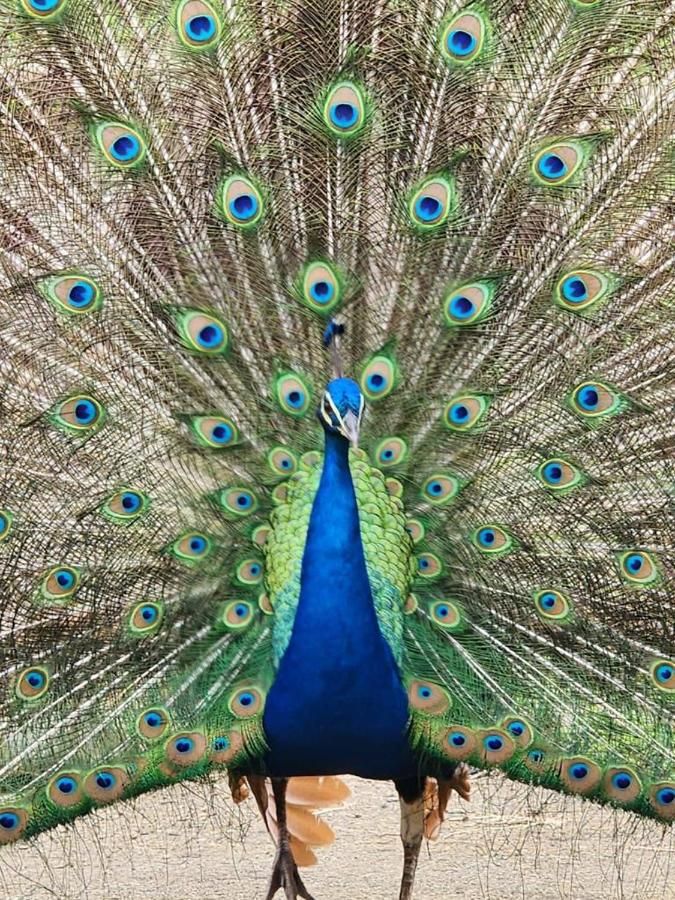 Hotel Cafetero Valparaíso