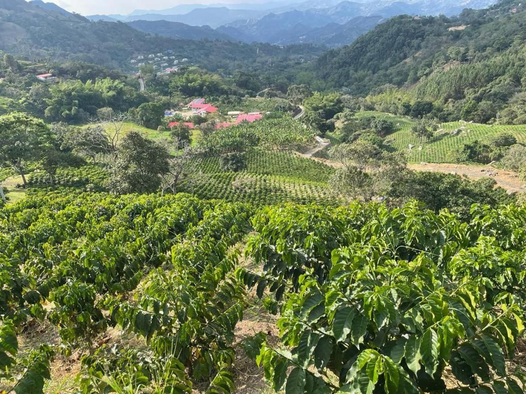 Hotel Cafetero Valparaíso