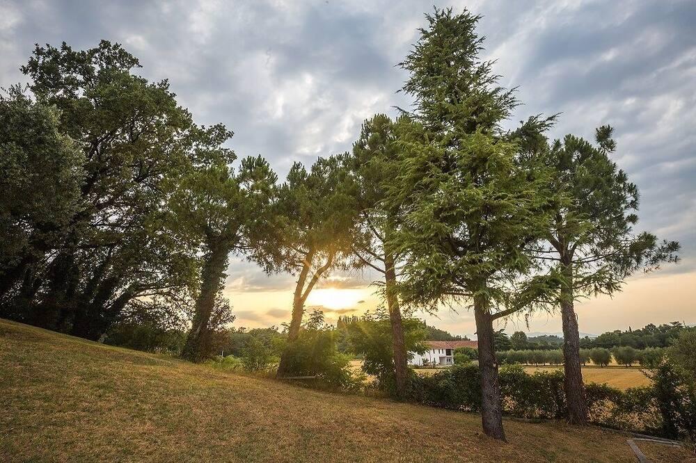 Garda Wild Green Camping - Lake Garda - Lombardy - Desenzano del Garda visuel 4/5 Garda Wild Green Camping - Lake Garda - Lombardy - Desenzano del Garda visuel 4/5