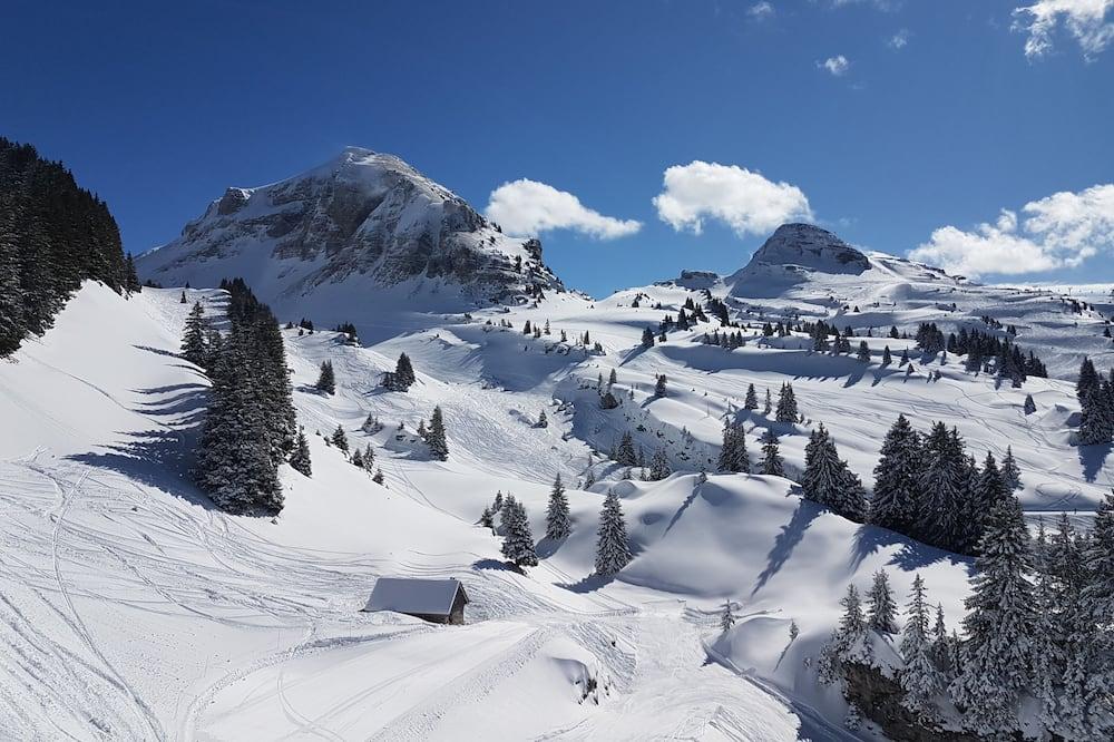 New luxury cottage, sauna and spa 3 minutes from Châtel 74390 Rhône-Alpes - La Chapelle-d'Abondance visuel 6/10