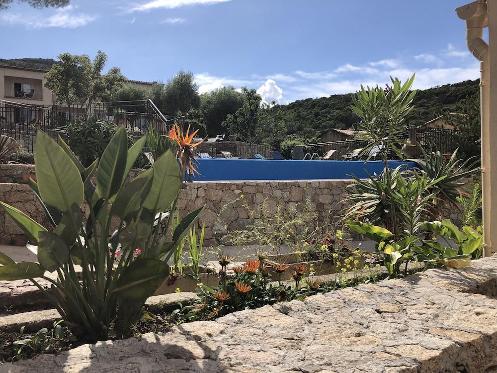 Stella marina apartment facing port and beach, swimming pool. Corsica - Galerij visuel 2/5