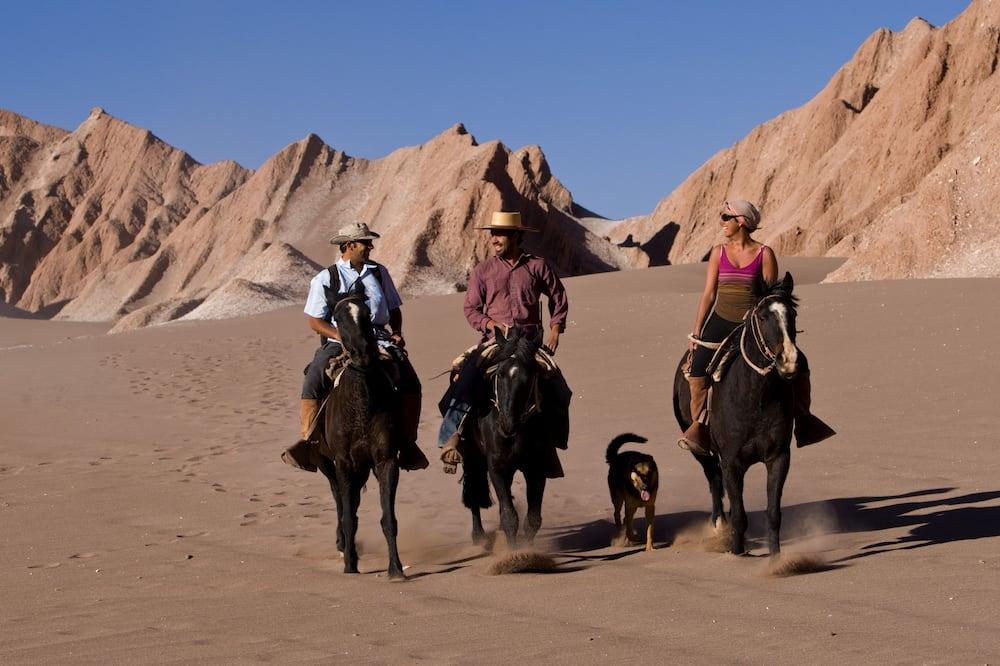 expedia_group-413761-48481684-552333 Tierra Atacama