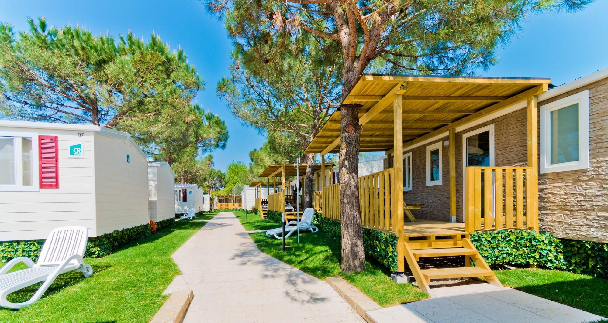 Camping le Palme Campground - Veneto - Lazise visuel 1/5