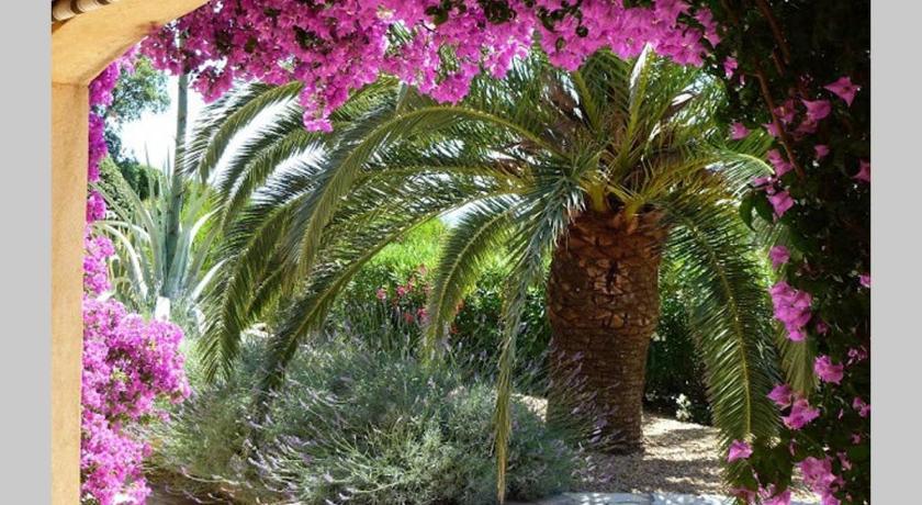 Lou Pei 2 Provence-Alpes-Côte d'Azur - Argens visuel 1/5