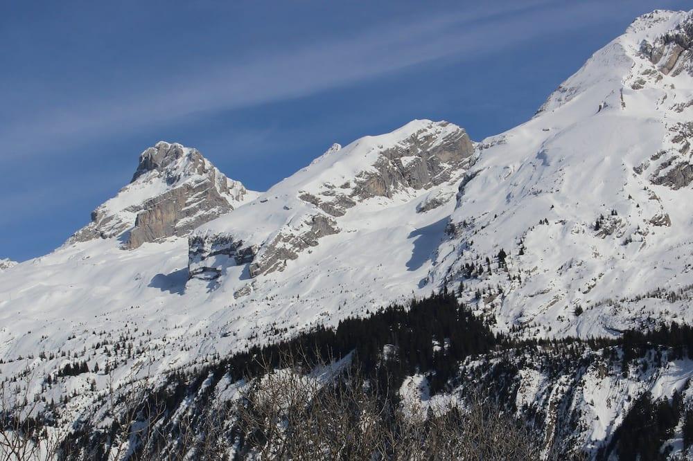 Chalet Le Grand Bornand - Languedoc-Roussillon - Le Born visuel 3/5 Chalet Le Grand Bornand - Languedoc-Roussillon - Le Born visuel 3/5