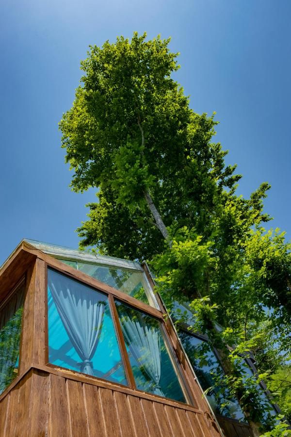 Skydoorცისკარი