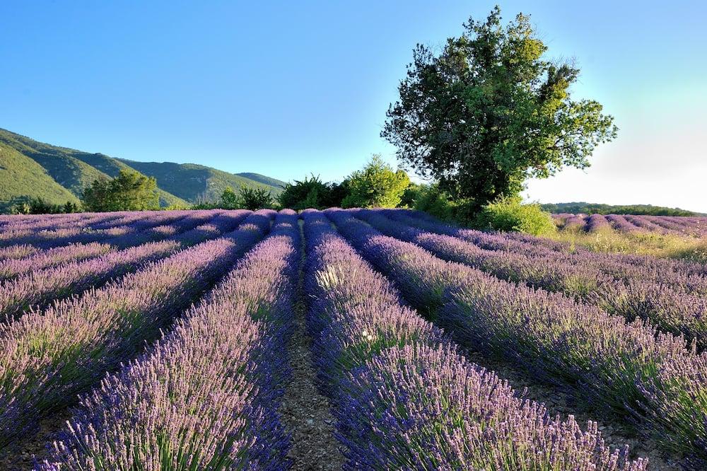 In The Heart Of The Grand Luberon, A Swimming Pool, Calmness Provence-Alpes-Côte d'Azur - Apt visuel 2/5 In The Heart Of The Grand Luberon, A Swimming Pool, Calmness Provence-Alpes-Côte d'Azur - Apt visuel 2/5