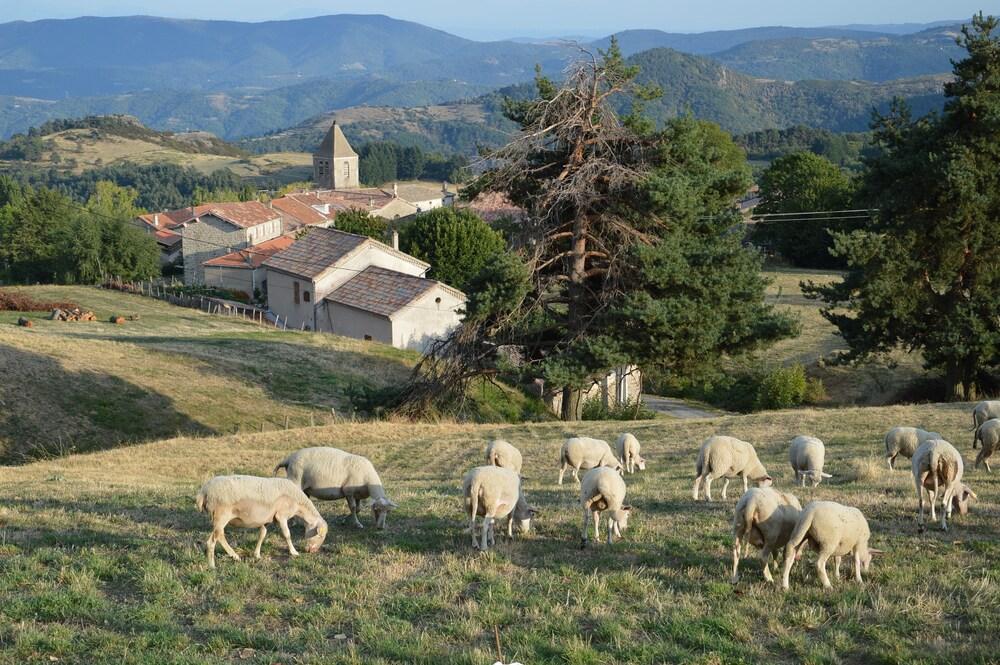 Gîte de Chapelèche Les Châtaigniers Rhône-Alpes - Ollières-sur-Eyrieux visuel 4/5 Gîte de Chapelèche Les Châtaigniers Rhône-Alpes - Ollières-sur-Eyrieux visuel 4/5