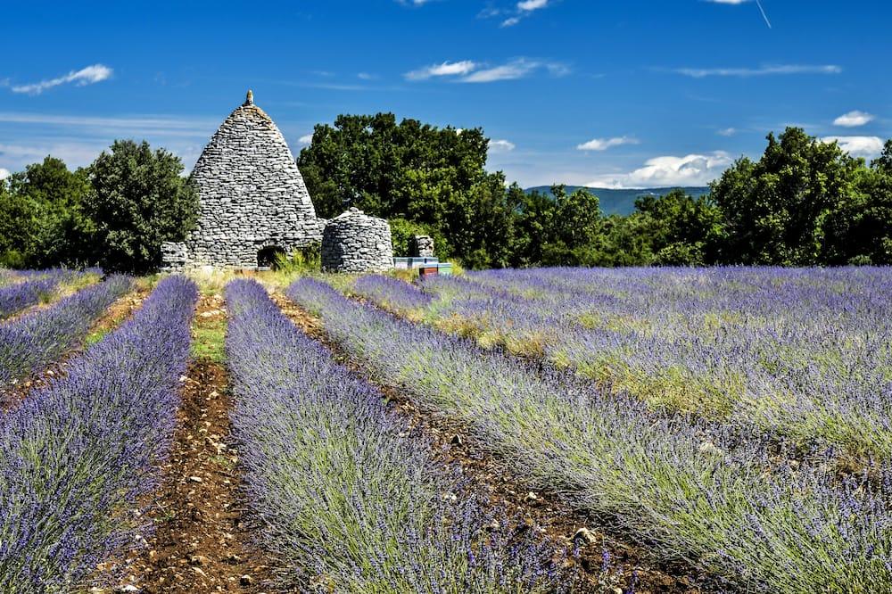 In The Heart Of The Grand Luberon, A Swimming Pool, Calmness Provence-Alpes-Côte d'Azur - Apt visuel 3/5 In The Heart Of The Grand Luberon, A Swimming Pool, Calmness Provence-Alpes-Côte d'Azur - Apt visuel 3/5