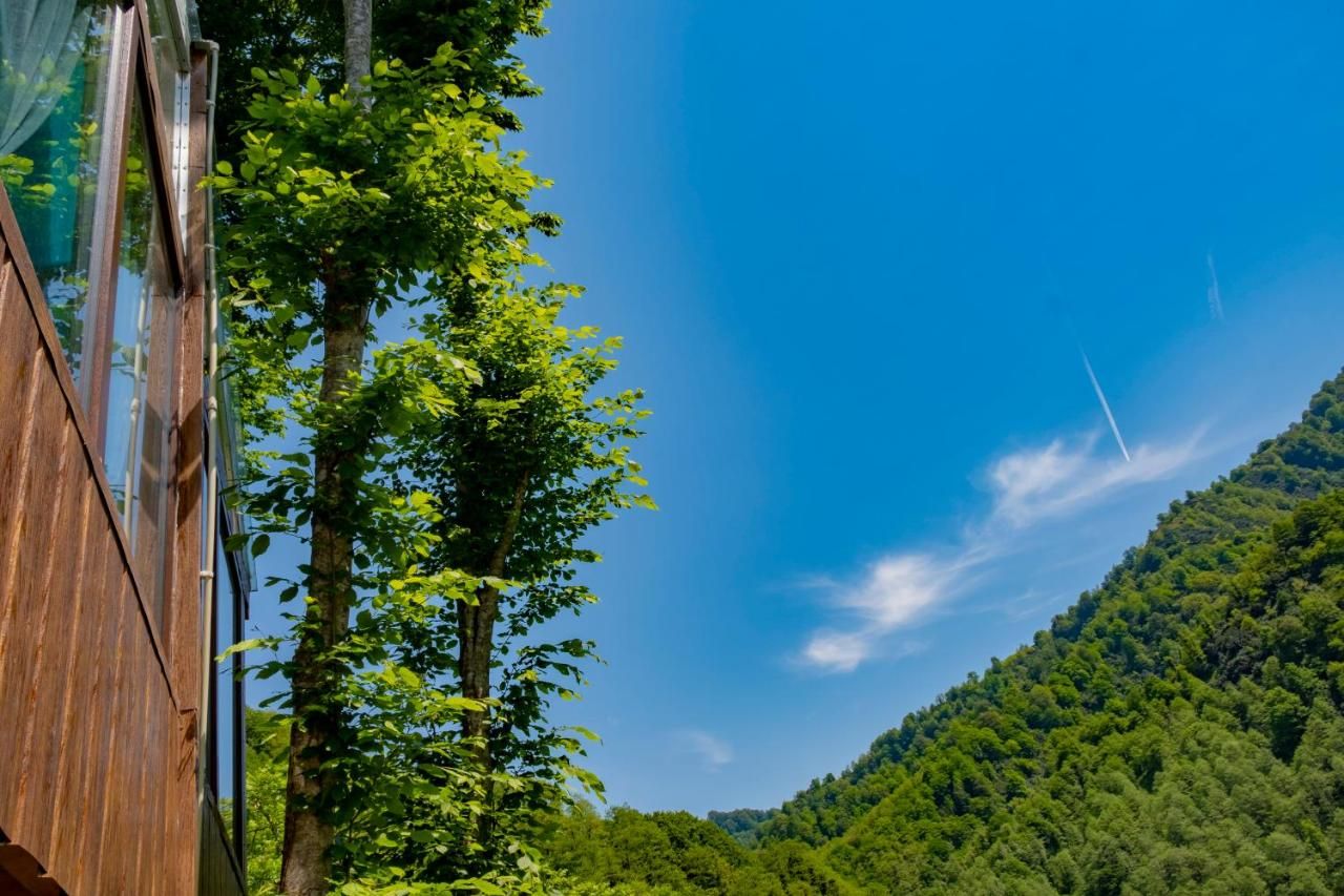 Skydoorცისკარი