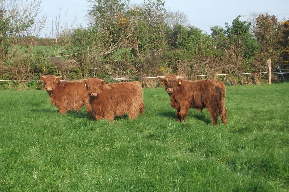 Glendine Country House