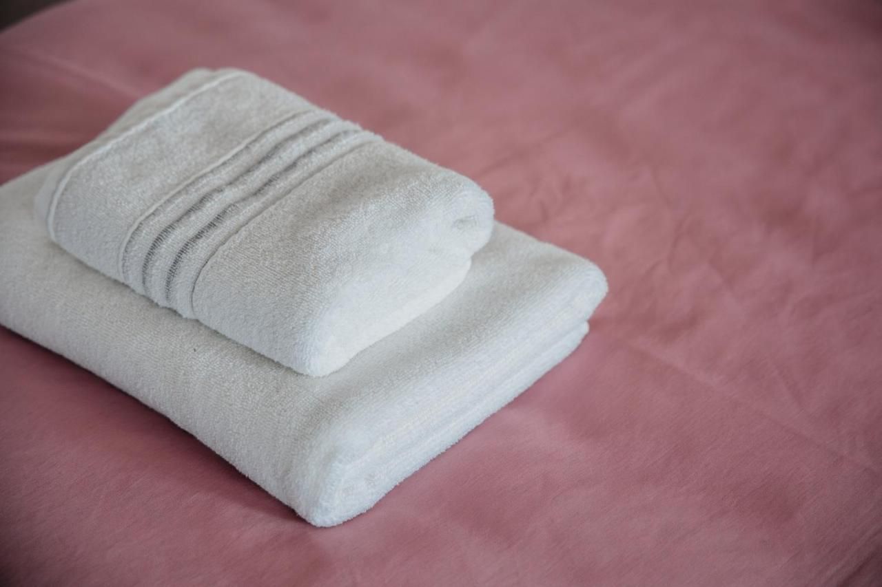 Pansion Mihića dvori