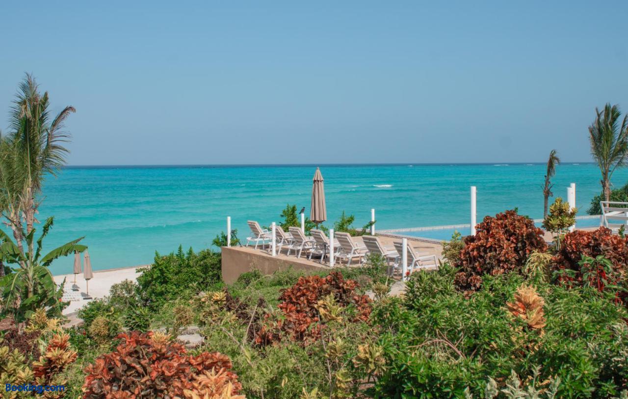 booking-1072128335-625873789-719545 Oasis Blu Beach Resort-Adults Only