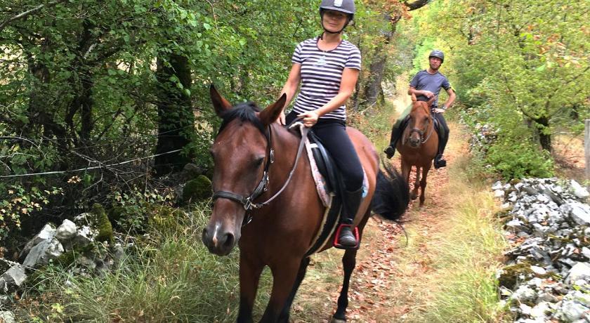 Andraud Midi-Pyrénées - Issendolus visuel 3/5