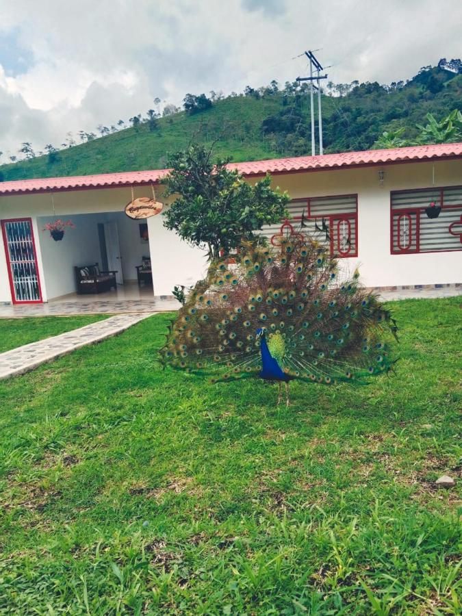 Hotel Cafetero Valparaíso