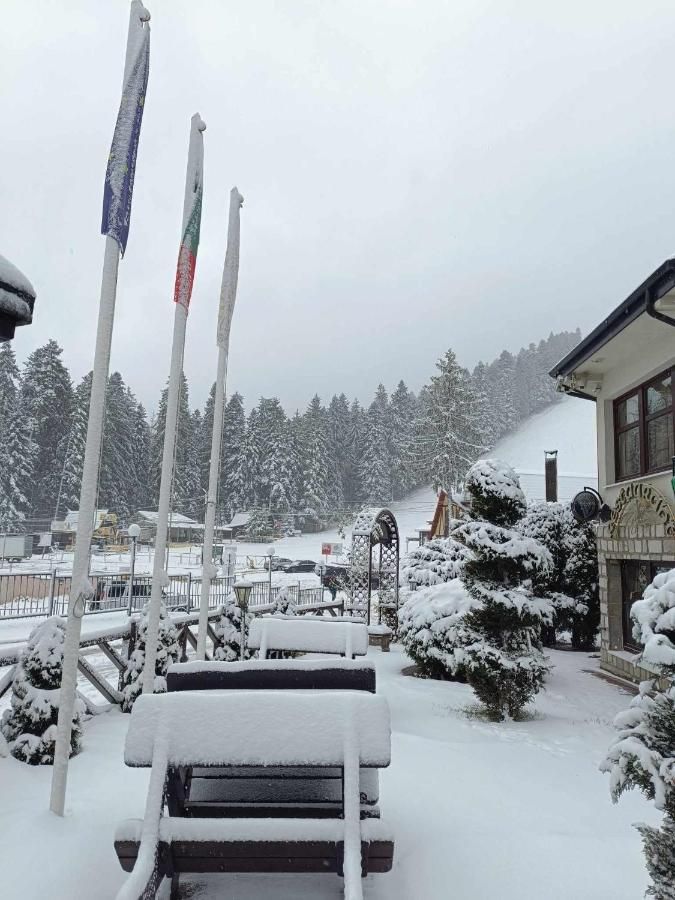 Alpin Borovets, Алпин Боровец