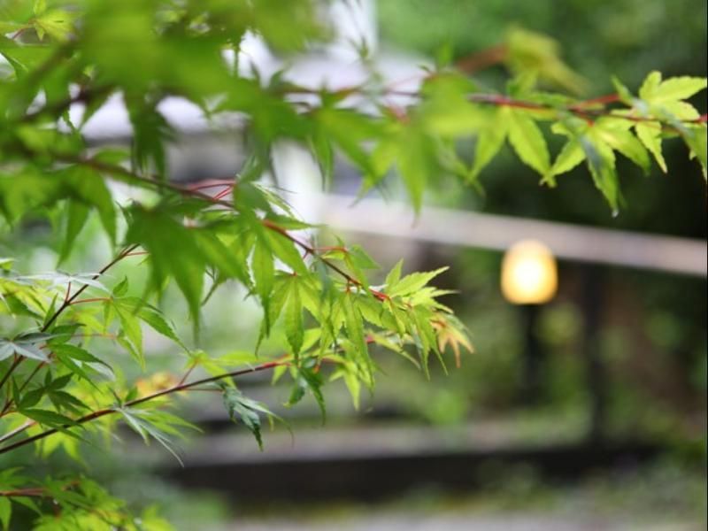 Azumino Ryokan Nishiya Besso