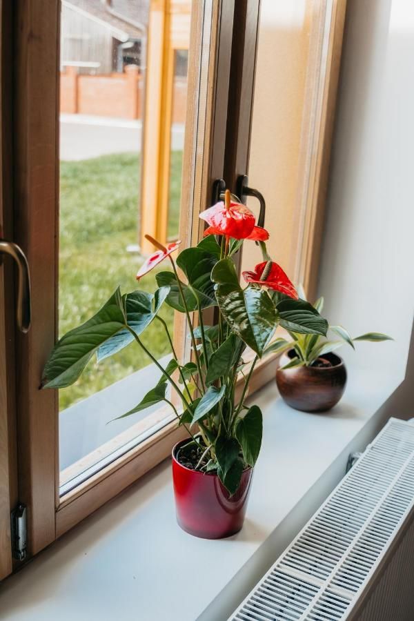 Pansion Mihića dvori