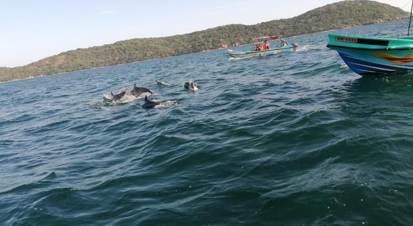 Janas Blue Water Corner