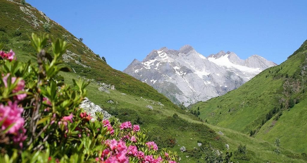 Hôtel La Grange Aux Marmottes