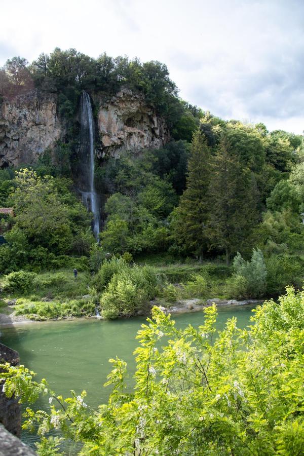 Les Cabannes Cévenoles Languedoc-Roussillon - Saint-Julien-de-la-Nef visuel 3/5 Les Cabannes Cévenoles Languedoc-Roussillon - Saint-Julien-de-la-Nef visuel 3/5