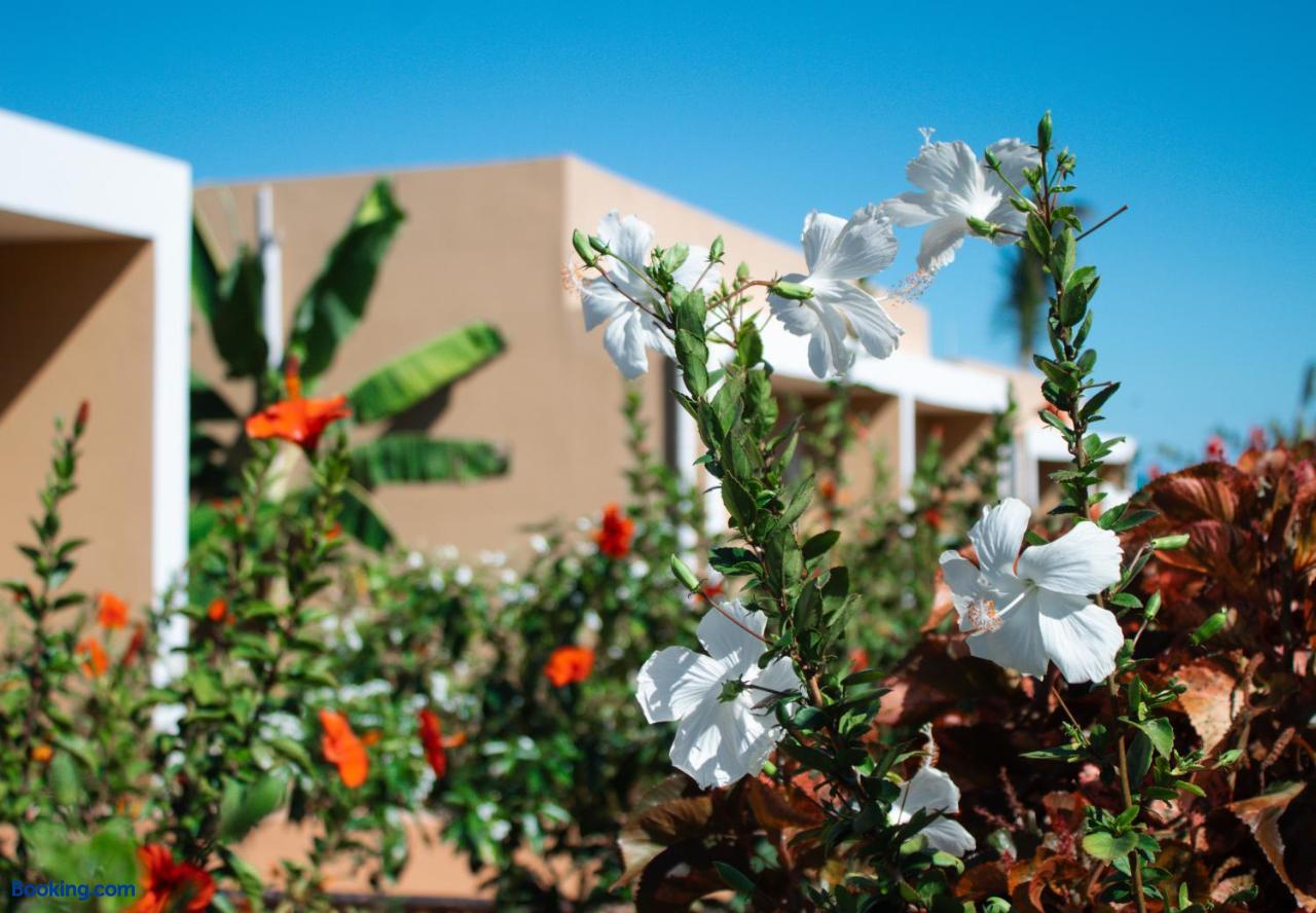 booking-1072128335-619739103-585825 Oasis Blu Beach Resort-Adults Only