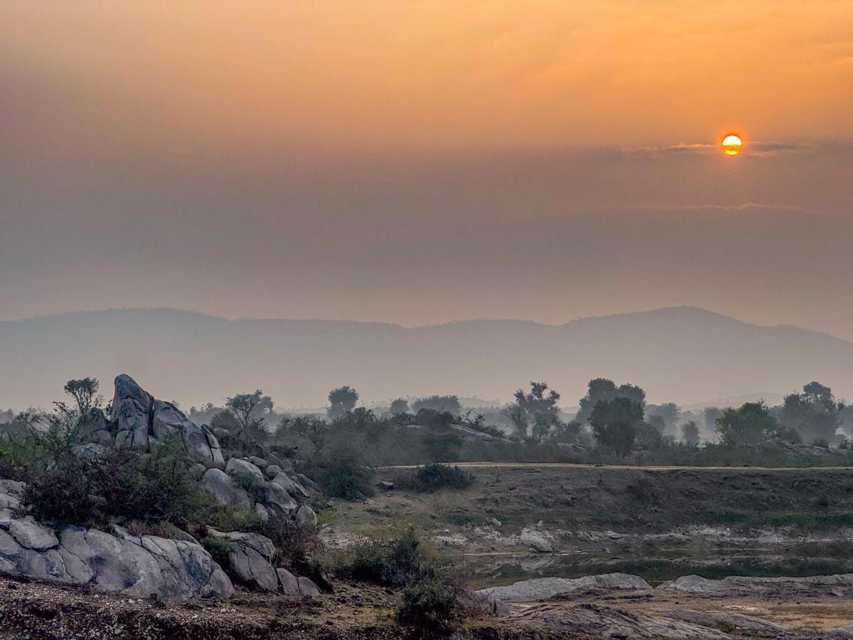 booking-1072273823-637335360-935393 The Beehad Sariska