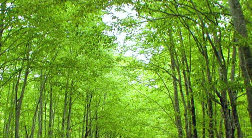 Kyukamura Nyuto-Onsenkyo