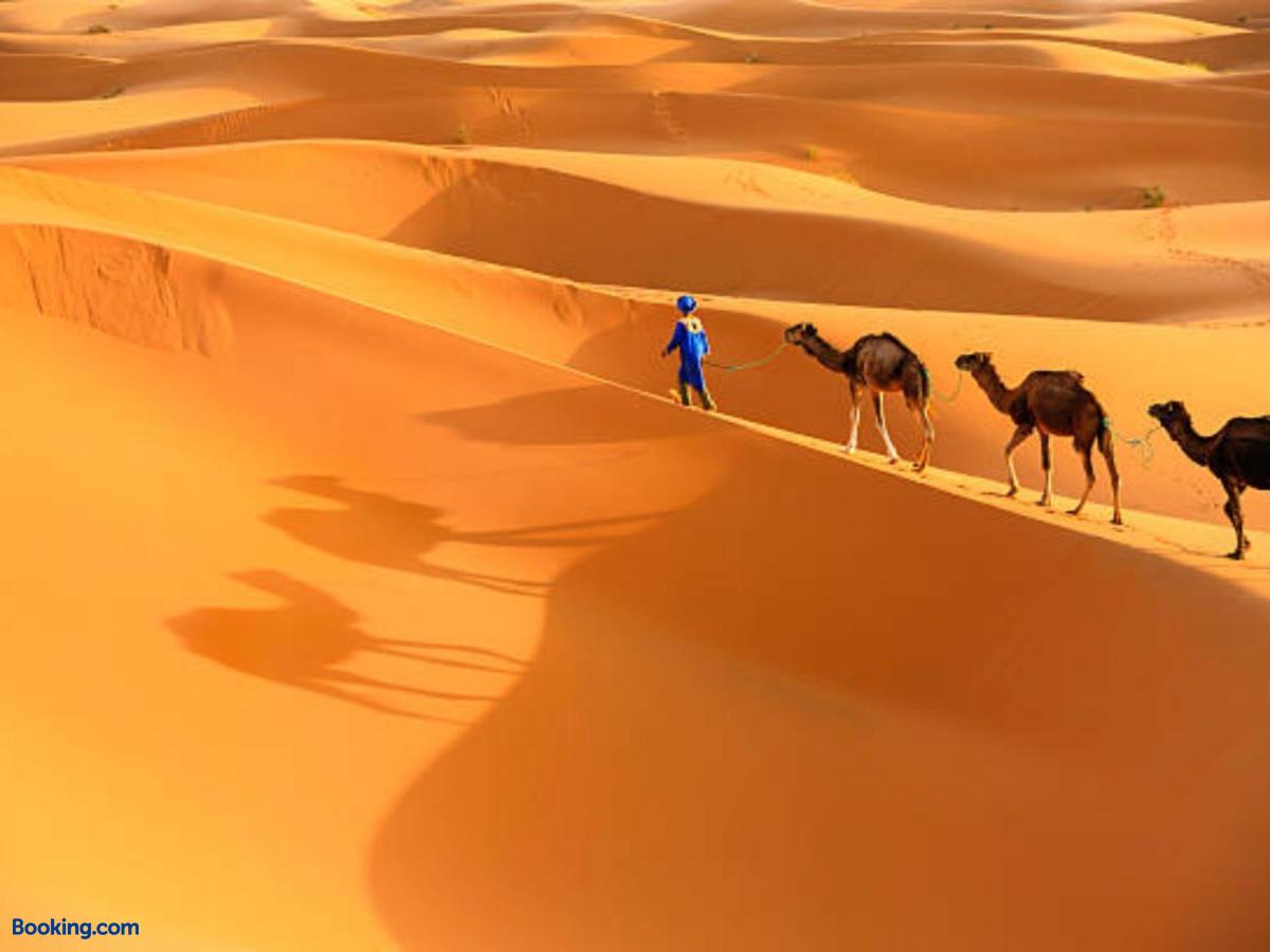 booking-1072059223-464126801-777780 Desert Paradise Luxury Camp