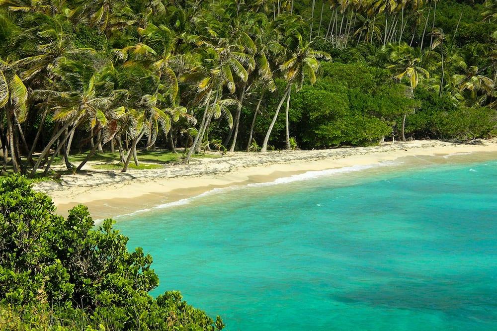 Firefly Estate Bequia