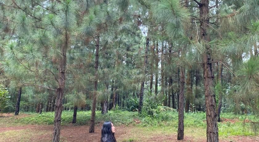 Joy Villa Flamingo Đại Lải - 5 phòng ngủ