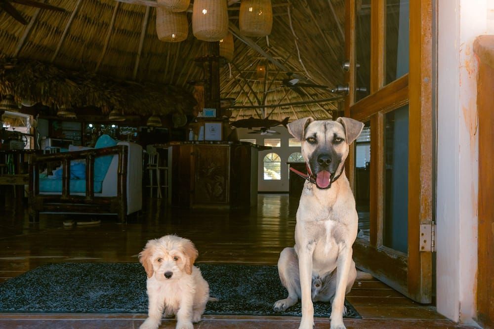 Thatch Caye Resort a Muy'Ono Resort