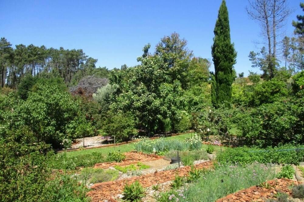 Lovely 4-Bed Cottage near Pedrogao Grande Centrum - Pedrogão Grande visuel 2/5 Lovely 4-Bed Cottage near Pedrogao Grande Centrum - Pedrogão Grande visuel 2/5