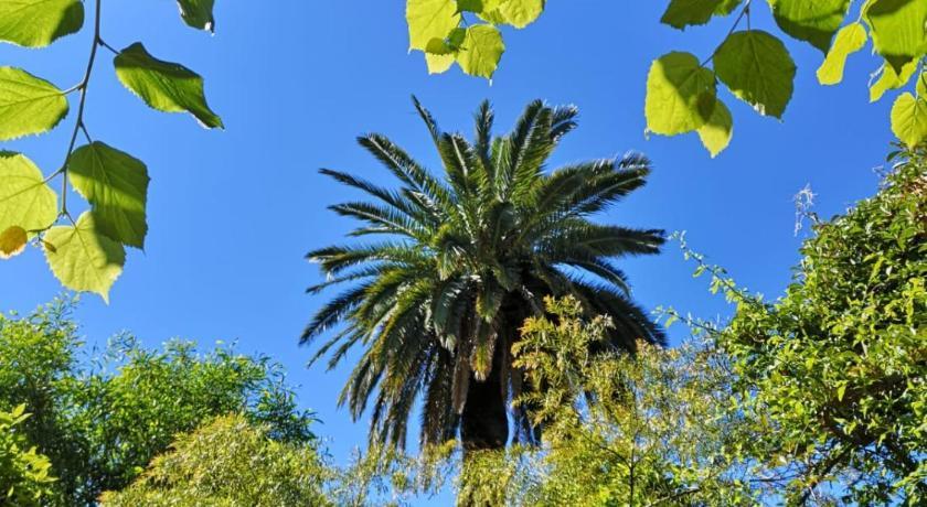 Appartements 7 Florian Provence-Alpes-Côte d'Azur - Cannes visuel 1/5