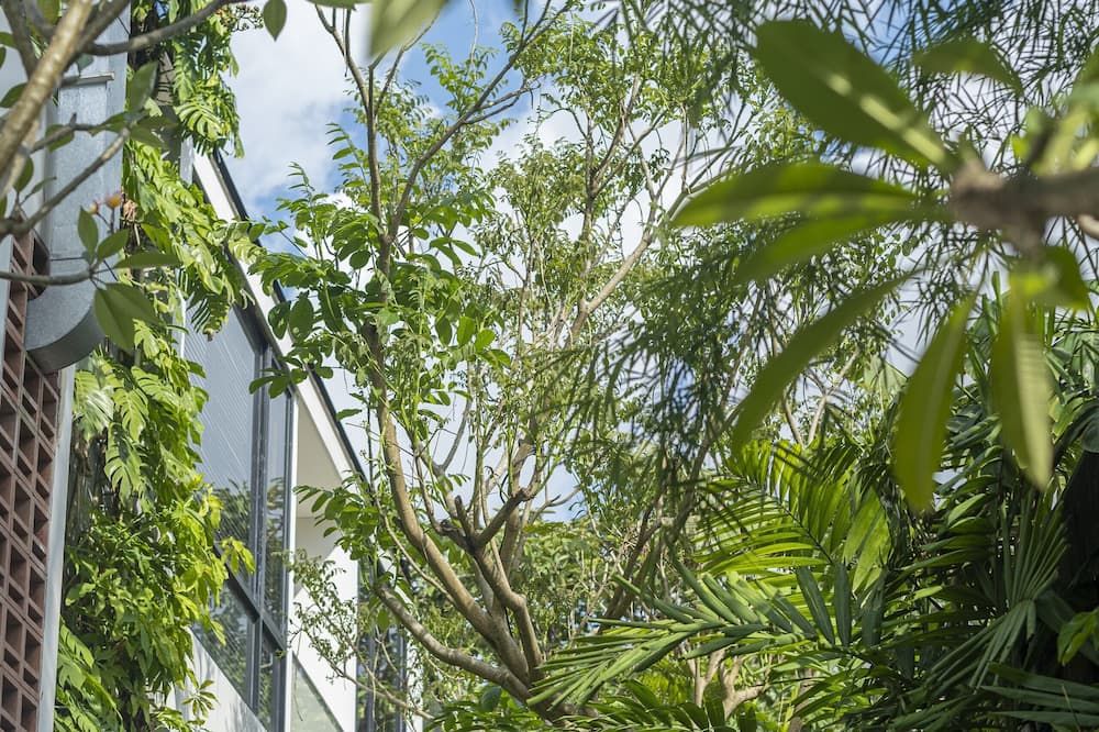 expedia_group-8468723-39834217-291530 Monolocale Luxury Resort & Spa Seminyak by Ini Vie Hospitality