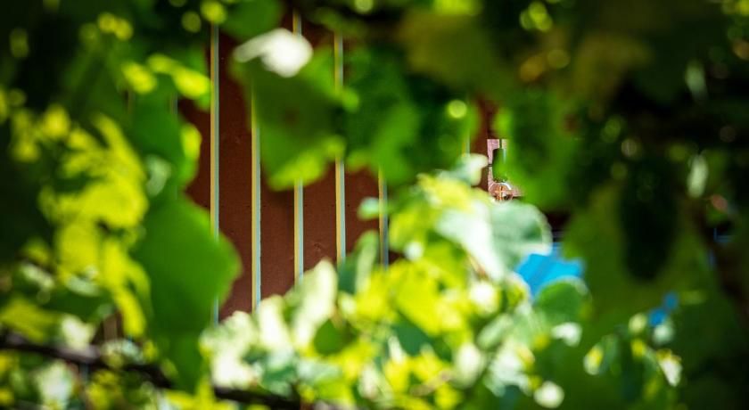 Hotel Villa Mayr Rooms & Suites