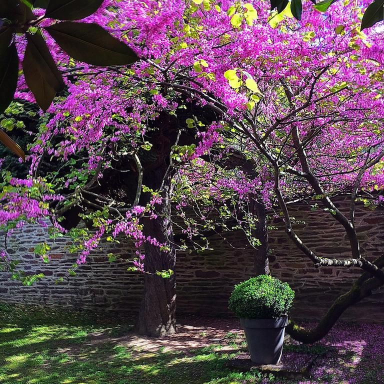 Castel Jolly Bretagne - Rennes visuel 2/5