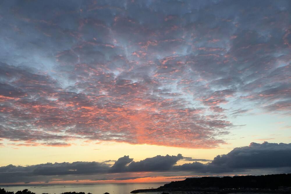 Les Palmiers Bretagne - Erquy visuel 3/5